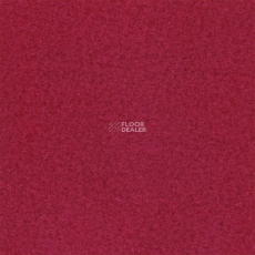 Sommer Needlepunch Exposhow Exposhow Framboise 1262 фото 1 | FLOORDEALER